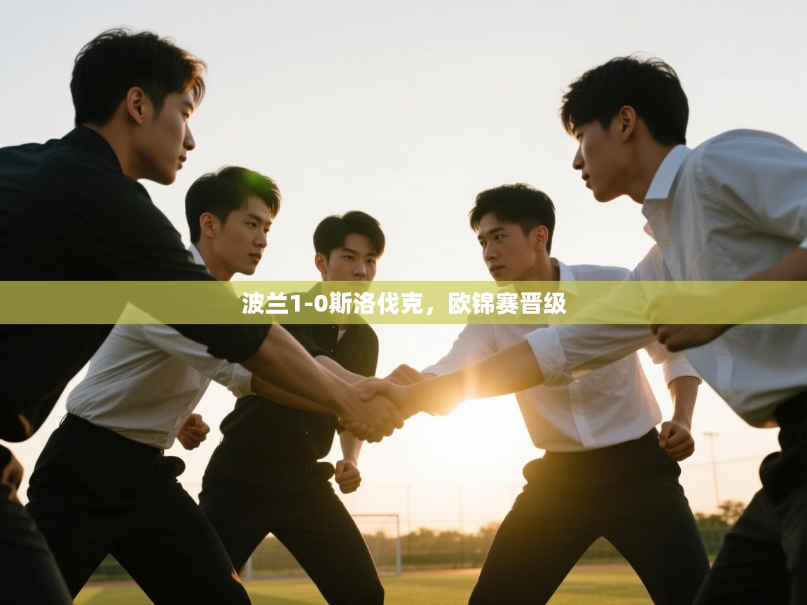 波兰1-0斯洛伐克，欧锦赛晋级  第2张