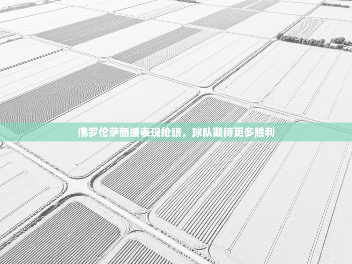 佛罗伦萨新援表现抢眼,球队期待更多胜利 第2张